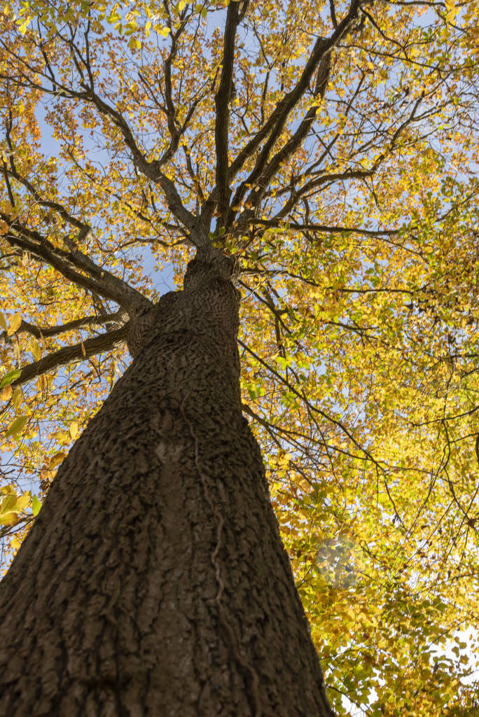 09 Nicole  Allais NA.Nicole Allais DSC5288 04112025