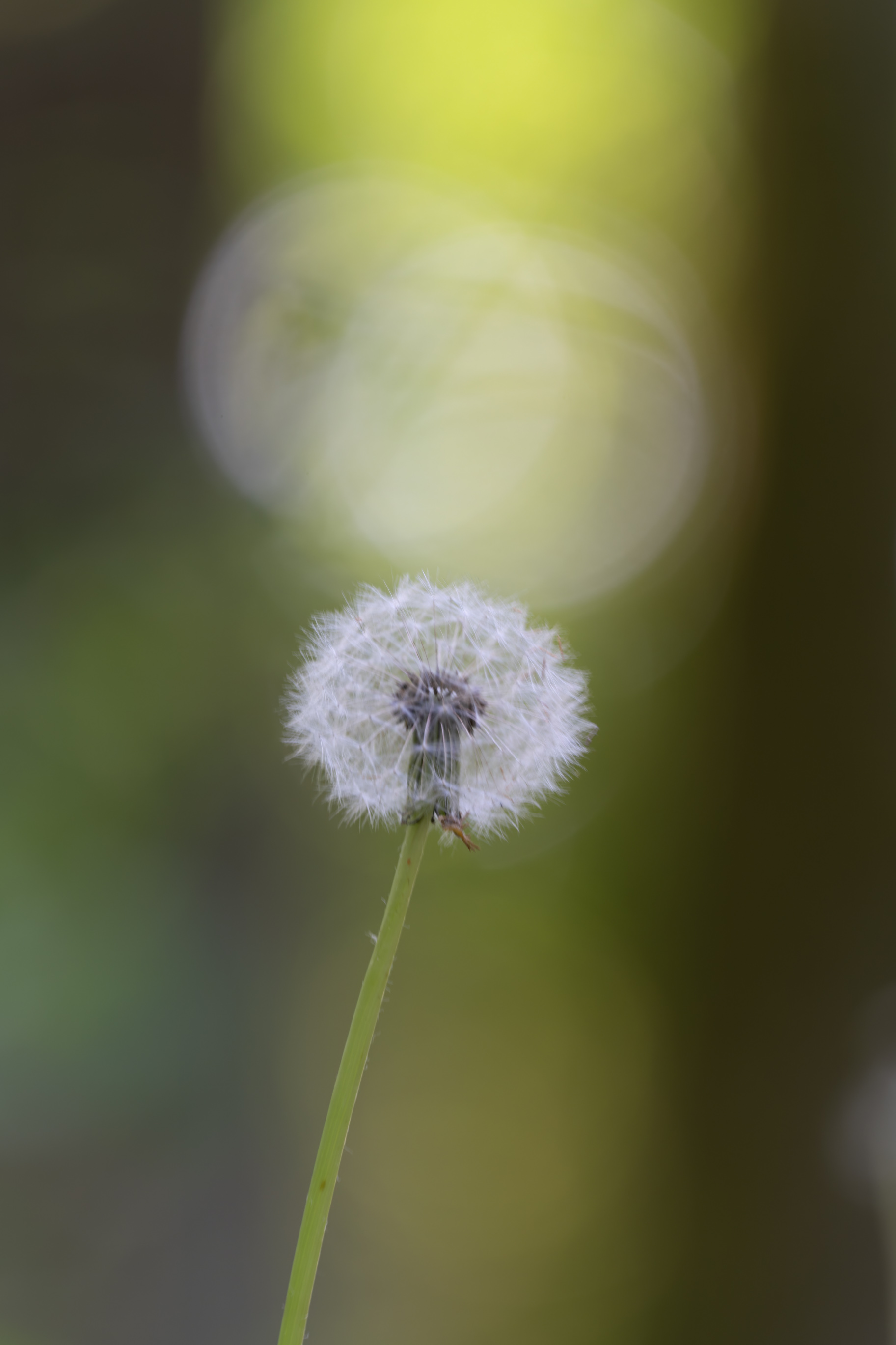 EB A7R05388 DxO DeepPRIME 3
