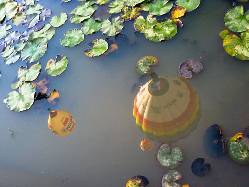 gn img 3414 7 2 gn img 3414 7 2