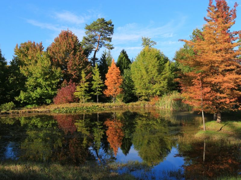 gn img 7185 3 gn img 7185 3