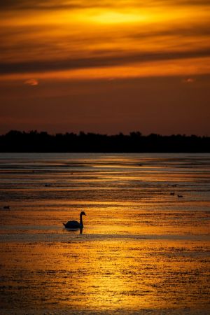 saintes maries 2019 08 21 201837