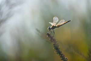 saintes maries 2019 08 23 174512