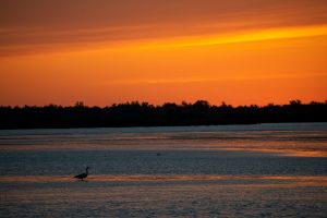 saintes maries de la mer 2019 08 21 20 38 51