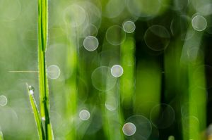 sresville 12 05 2019 10 23 31