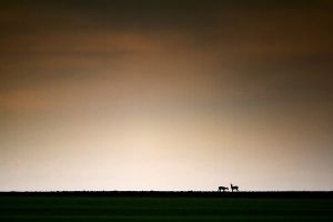 ymonville 29 11 2014 15 25 36 0016