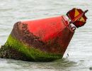 berck signe small