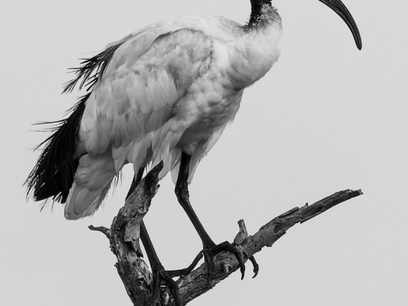 25012023  dsc6871 nef dxo deepprime72 25012023  dsc6871 nef dxo deepprime72