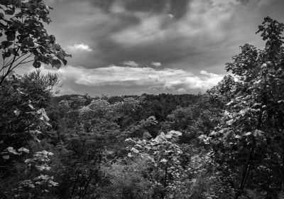 paysages